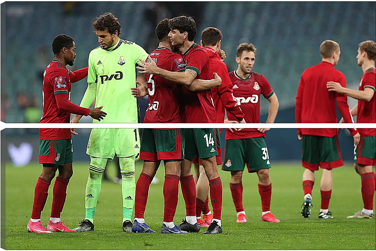 Модульная картина - После матча. ФК Локомотив Москва. FC Lokomotiv Moscow