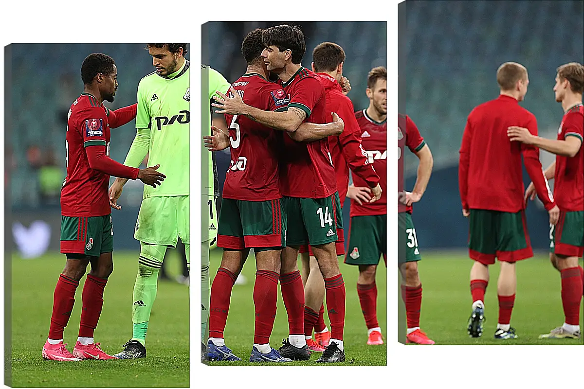 Модульная картина - После матча. ФК Локомотив Москва. FC Lokomotiv Moscow