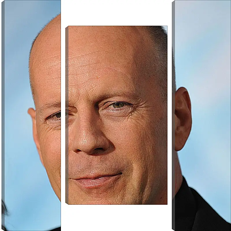 Модульная картина - Брюс Уиллис. Bruce Willis