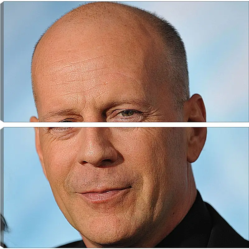 Модульная картина - Брюс Уиллис. Bruce Willis