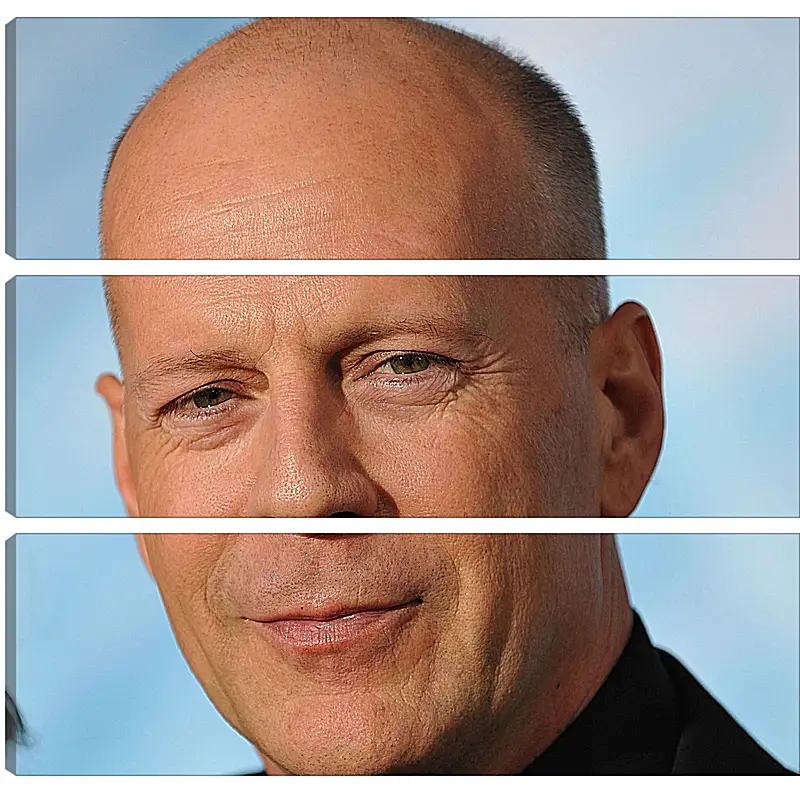 Модульная картина - Брюс Уиллис. Bruce Willis