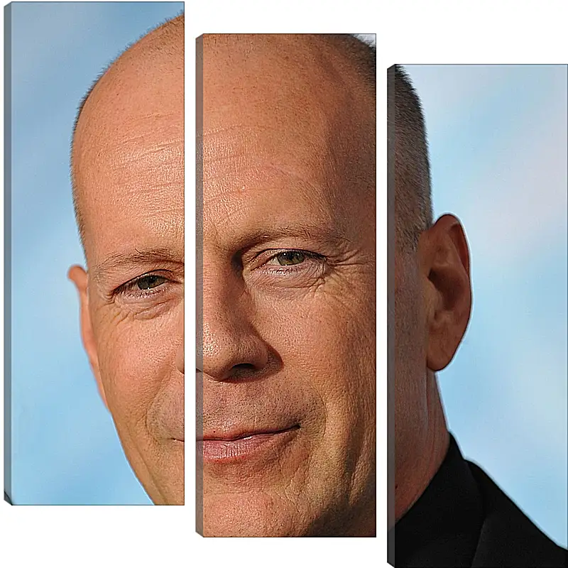 Модульная картина - Брюс Уиллис. Bruce Willis