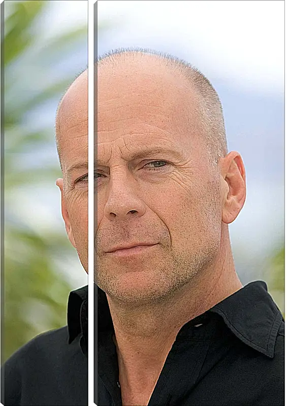 Модульная картина - Брюс Уиллис. Bruce Willis