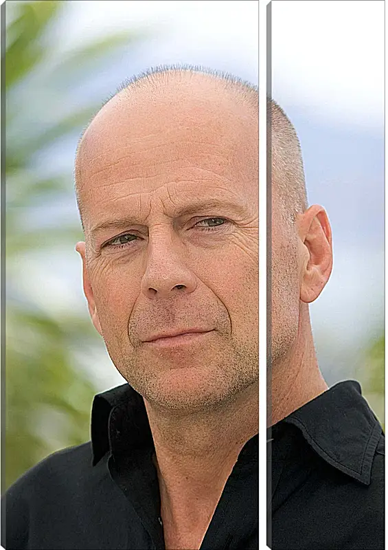 Модульная картина - Брюс Уиллис. Bruce Willis