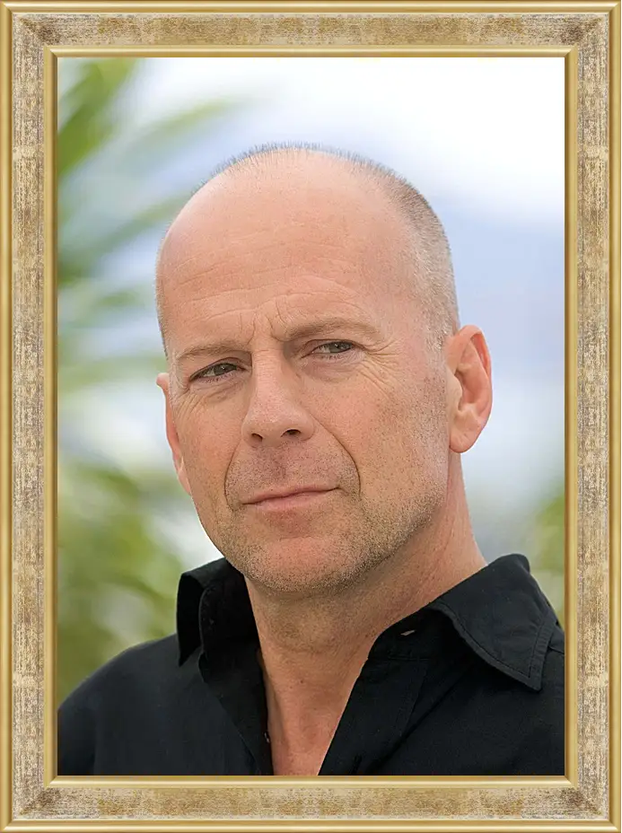 Картина в раме - Брюс Уиллис. Bruce Willis