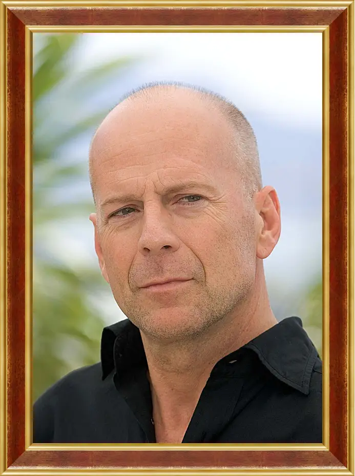 Картина в раме - Брюс Уиллис. Bruce Willis