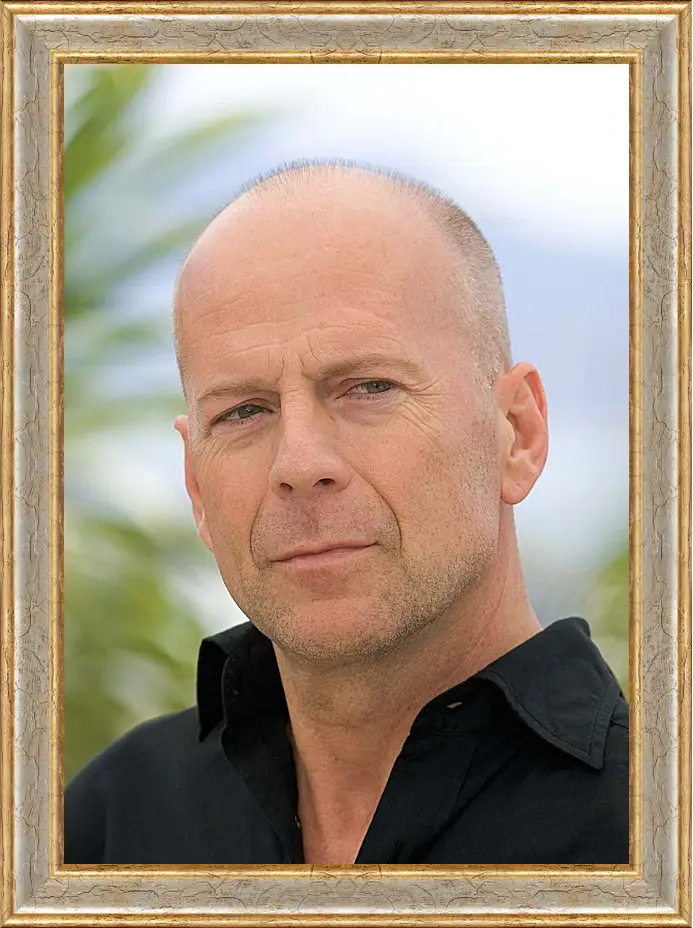 Картина в раме - Брюс Уиллис. Bruce Willis