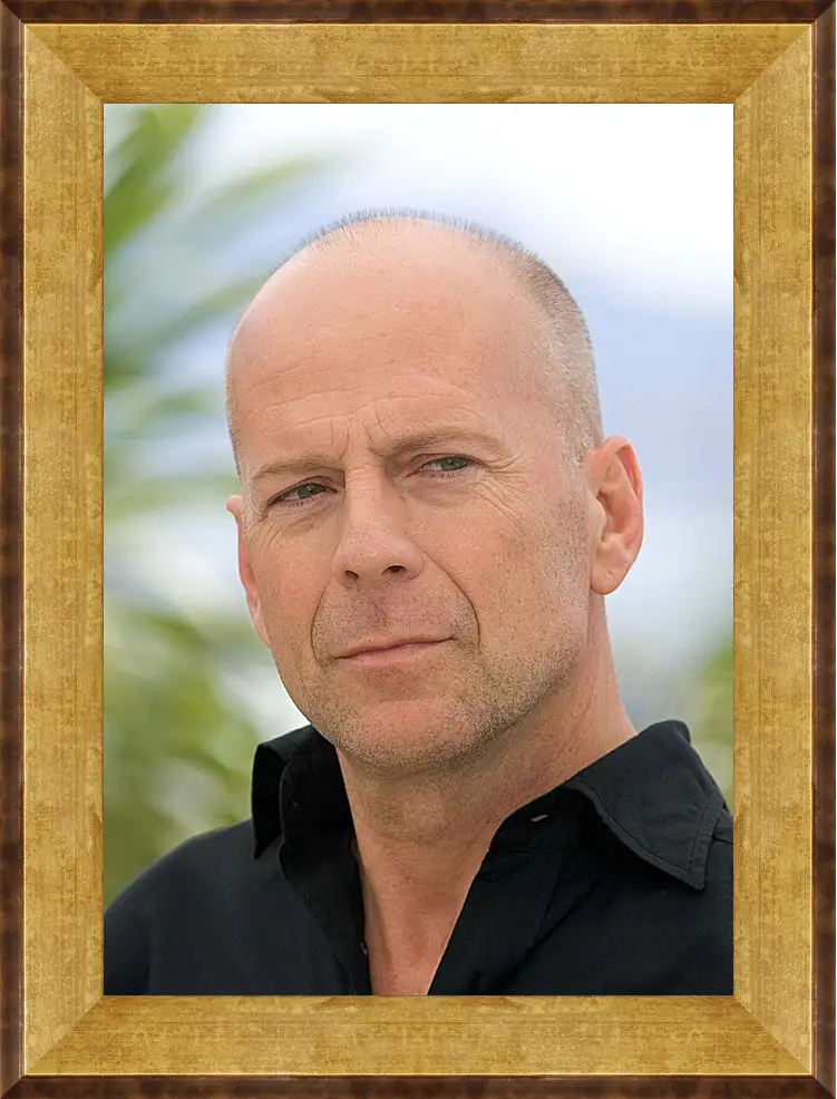 Картина в раме - Брюс Уиллис. Bruce Willis