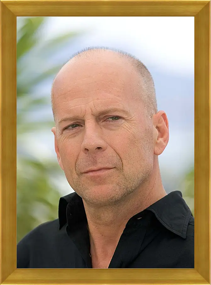 Картина в раме - Брюс Уиллис. Bruce Willis