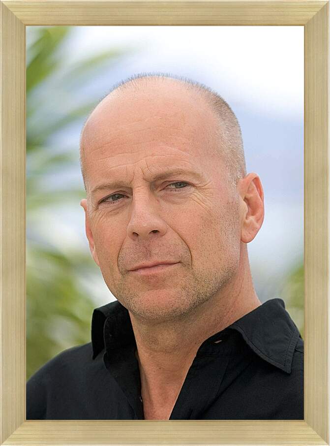 Картина в раме - Брюс Уиллис. Bruce Willis