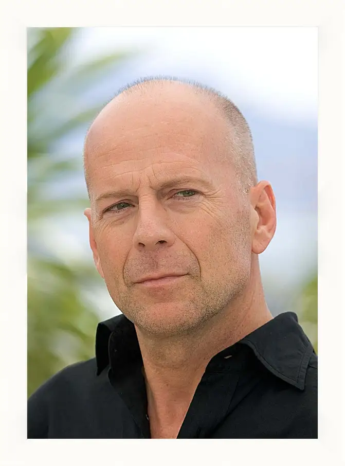 Картина в раме - Брюс Уиллис. Bruce Willis