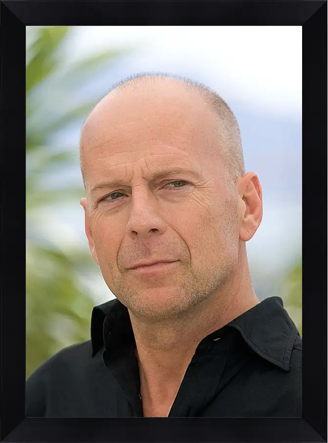 Картина в раме - Брюс Уиллис. Bruce Willis