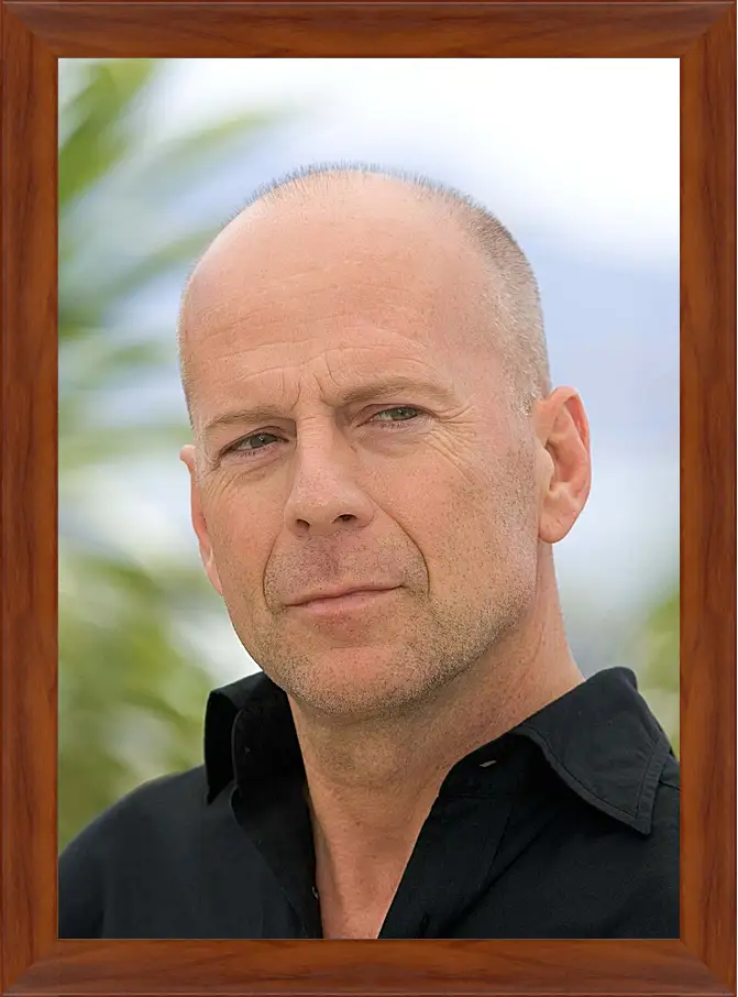 Картина в раме - Брюс Уиллис. Bruce Willis