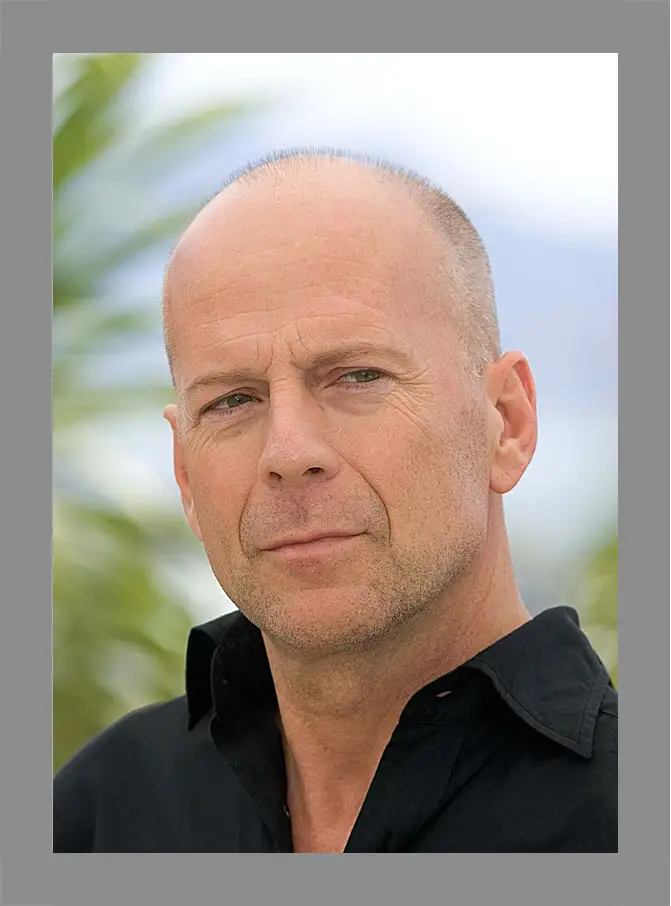 Картина в раме - Брюс Уиллис. Bruce Willis