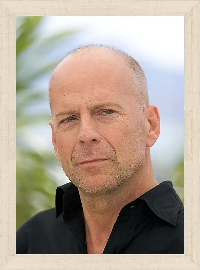 Картина в раме - Брюс Уиллис. Bruce Willis