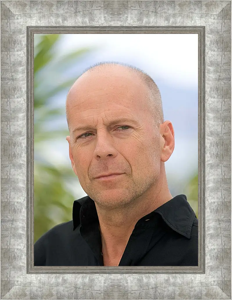 Картина в раме - Брюс Уиллис. Bruce Willis