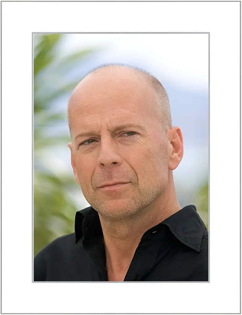 Картина в раме - Брюс Уиллис. Bruce Willis