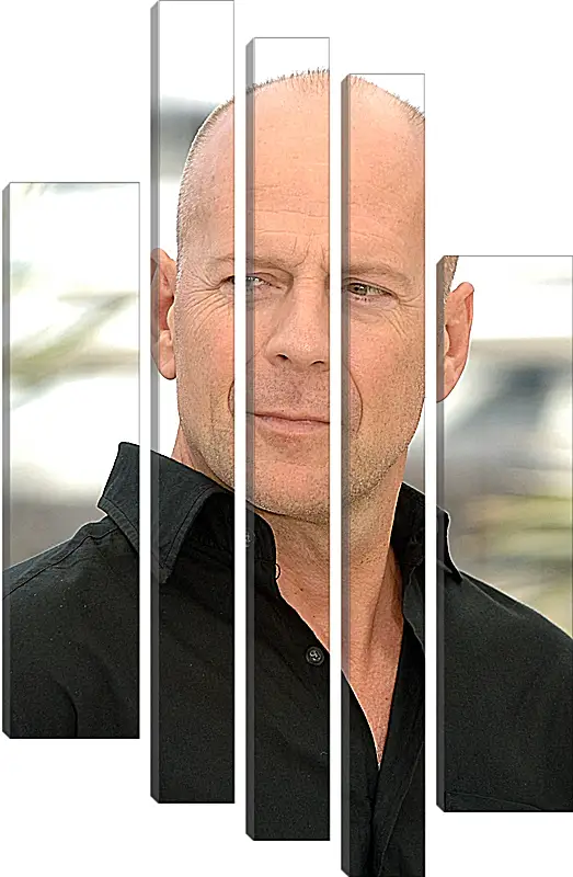 Модульная картина - Брюс Уиллис. Bruce Willis