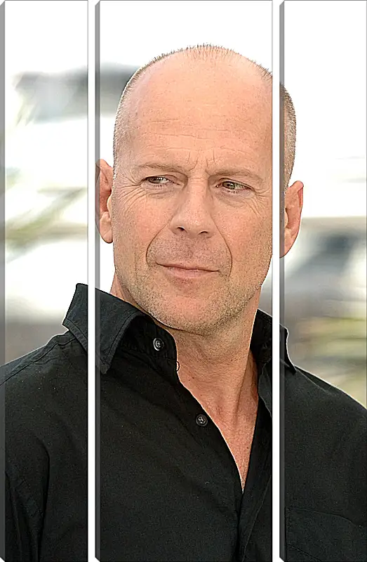 Модульная картина - Брюс Уиллис. Bruce Willis