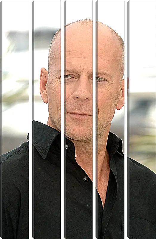 Модульная картина - Брюс Уиллис. Bruce Willis