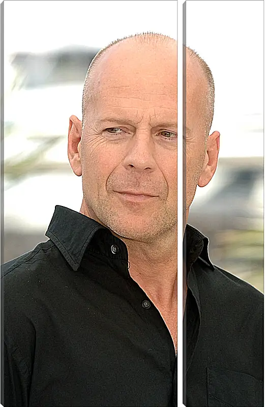 Модульная картина - Брюс Уиллис. Bruce Willis