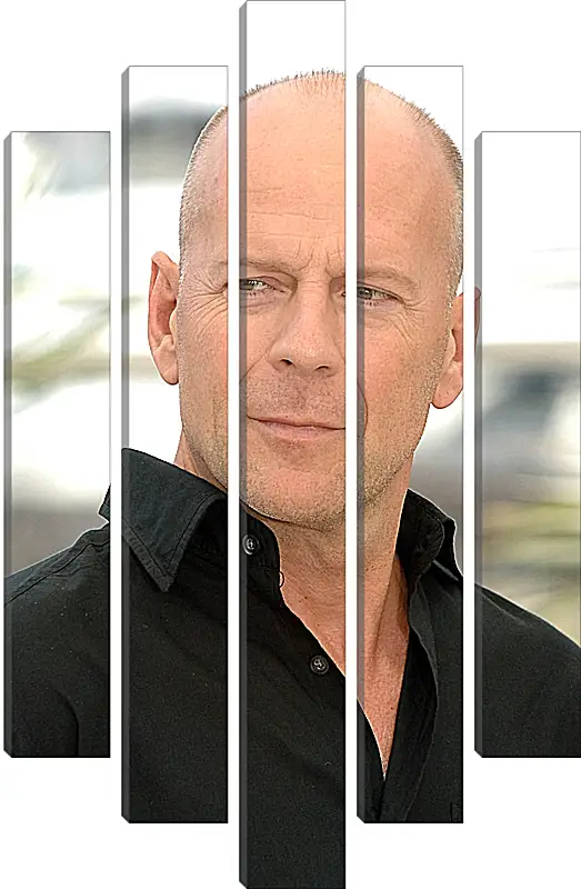 Модульная картина - Брюс Уиллис. Bruce Willis