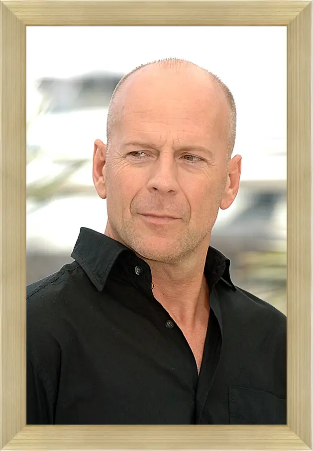 Картина в раме - Брюс Уиллис. Bruce Willis