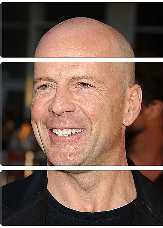 Модульная картина - Брюс Уиллис. Bruce Willis