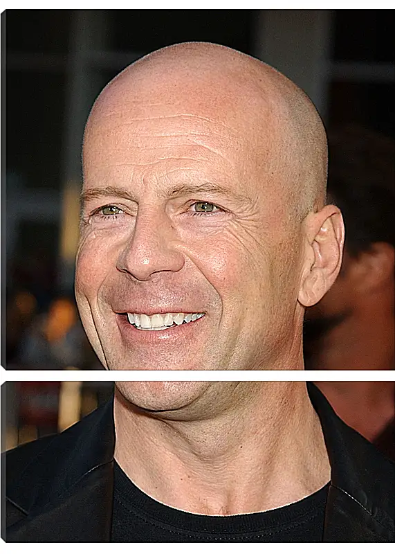 Модульная картина - Брюс Уиллис. Bruce Willis