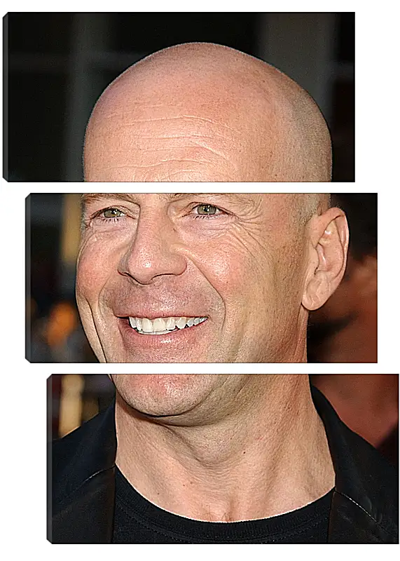 Модульная картина - Брюс Уиллис. Bruce Willis