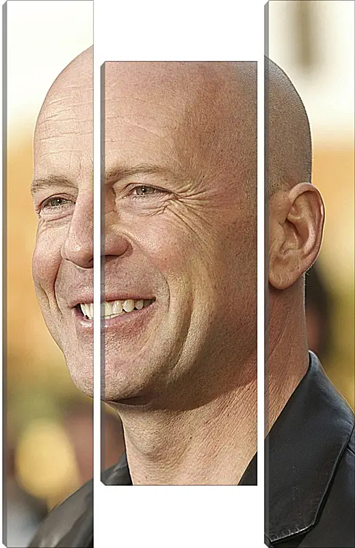 Модульная картина - Брюс Уиллис. Bruce Willis