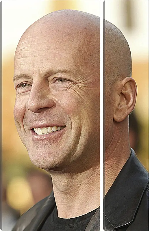 Модульная картина - Брюс Уиллис. Bruce Willis