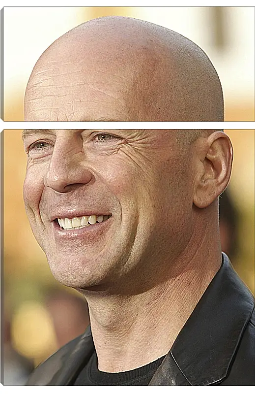 Модульная картина - Брюс Уиллис. Bruce Willis