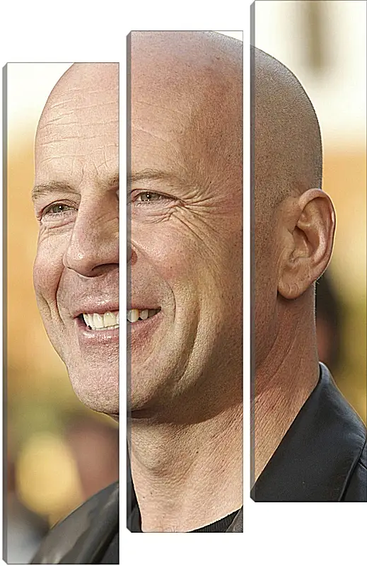 Модульная картина - Брюс Уиллис. Bruce Willis