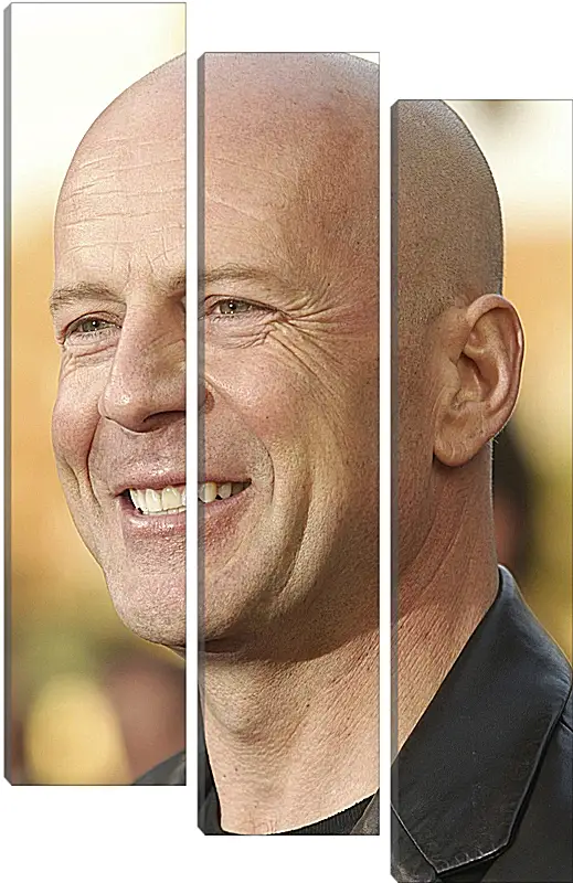 Модульная картина - Брюс Уиллис. Bruce Willis