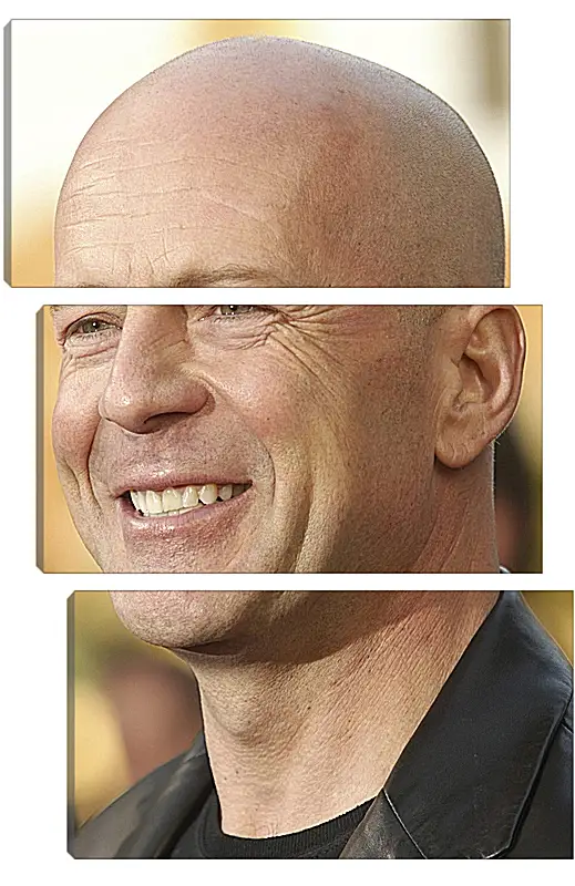 Модульная картина - Брюс Уиллис. Bruce Willis