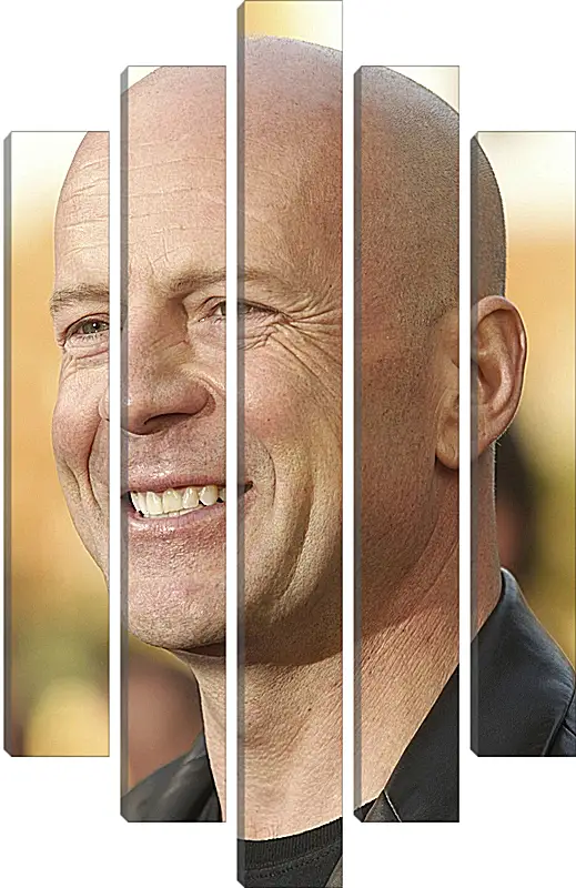 Модульная картина - Брюс Уиллис. Bruce Willis