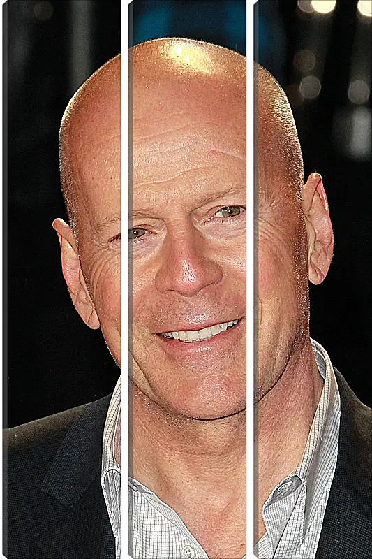 Модульная картина - Брюс Уиллис. Bruce Willis