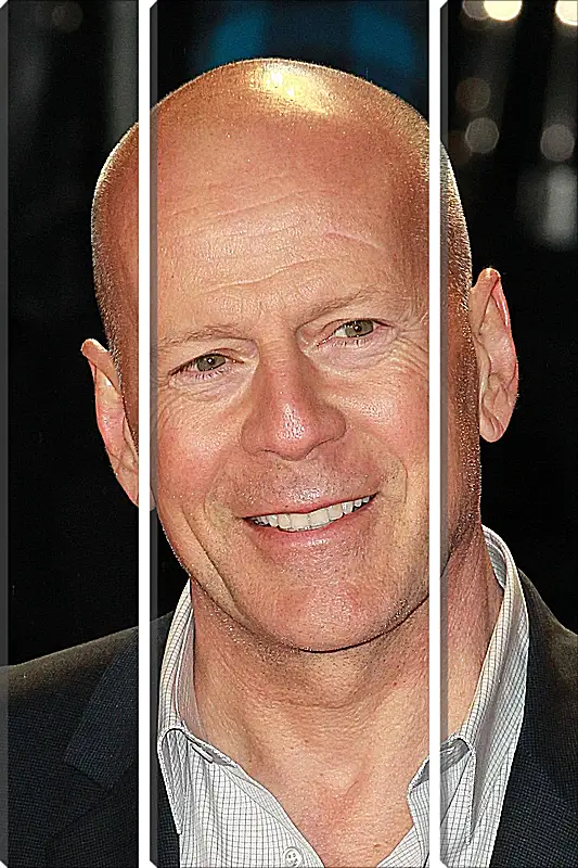 Модульная картина - Брюс Уиллис. Bruce Willis