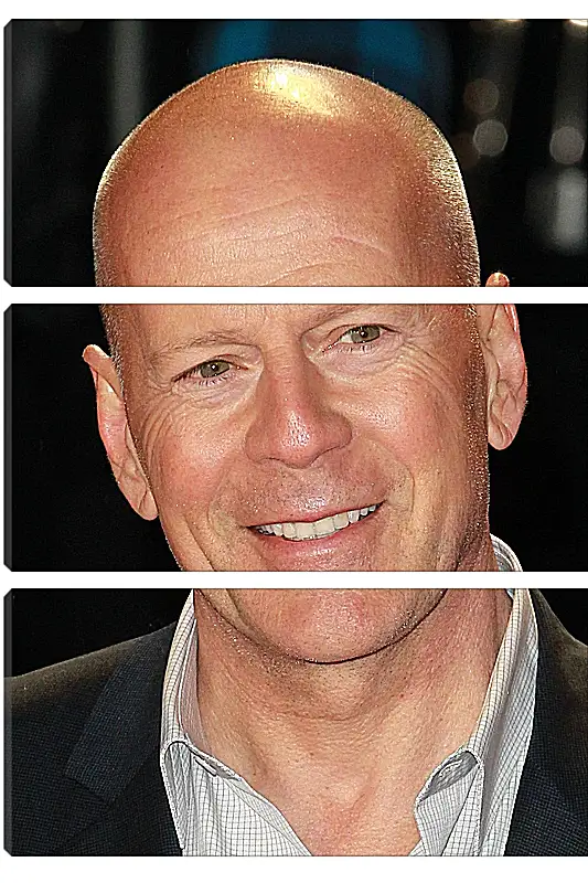 Модульная картина - Брюс Уиллис. Bruce Willis