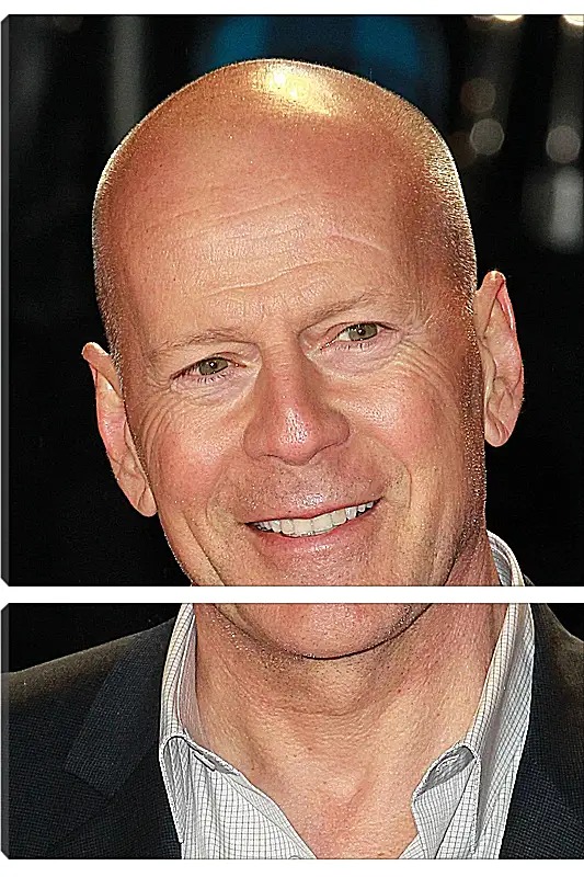 Модульная картина - Брюс Уиллис. Bruce Willis