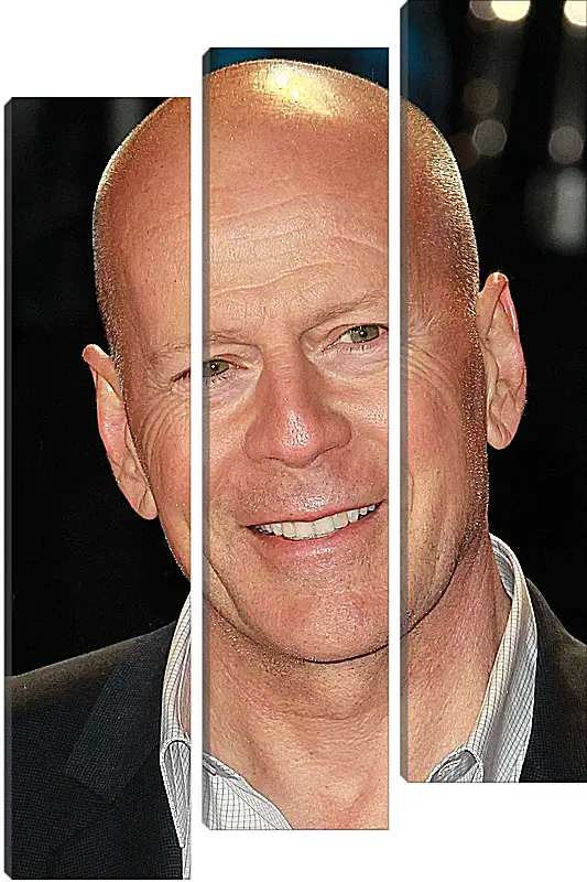 Модульная картина - Брюс Уиллис. Bruce Willis