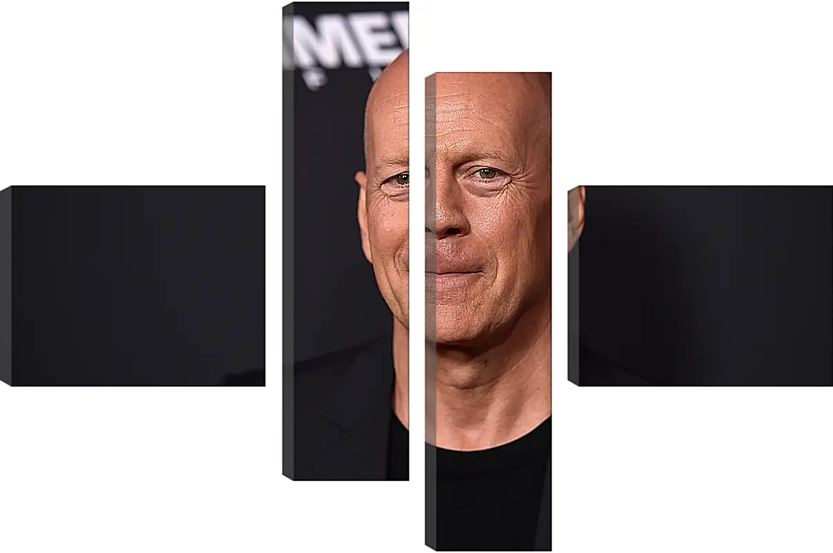 Модульная картина - Брюс Уиллис. Bruce Willis