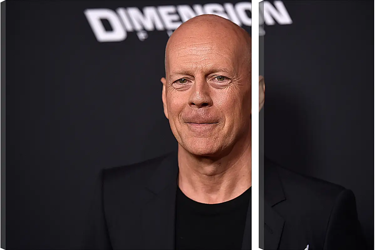 Модульная картина - Брюс Уиллис. Bruce Willis