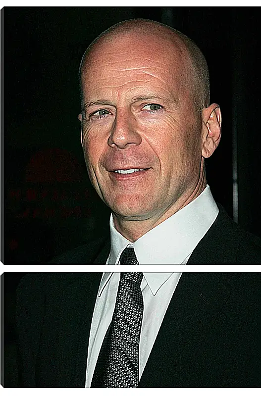 Модульная картина - Брюс Уиллис. Bruce Willis