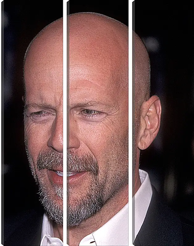 Модульная картина - Брюс Уиллис. Bruce Willis