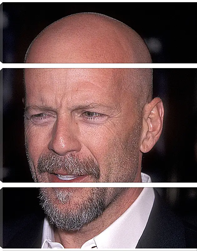 Модульная картина - Брюс Уиллис. Bruce Willis