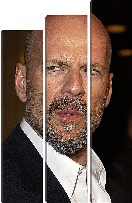Модульная картина - Брюс Уиллис. Bruce Willis