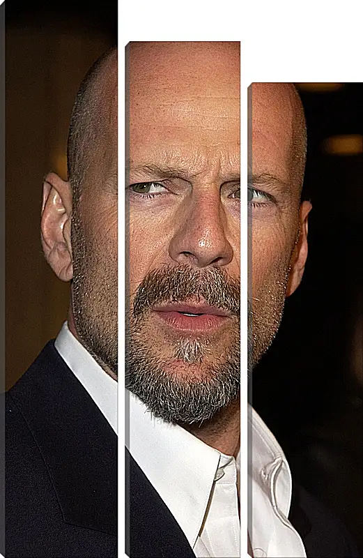 Модульная картина - Брюс Уиллис. Bruce Willis