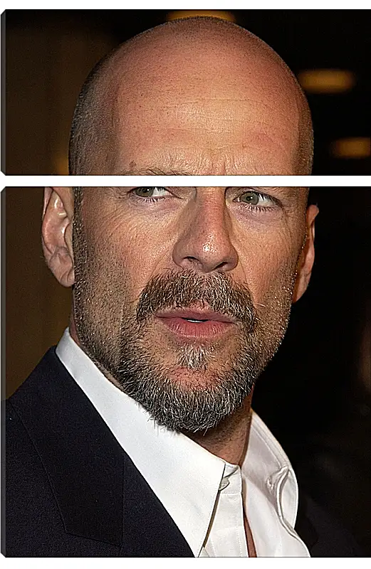 Модульная картина - Брюс Уиллис. Bruce Willis